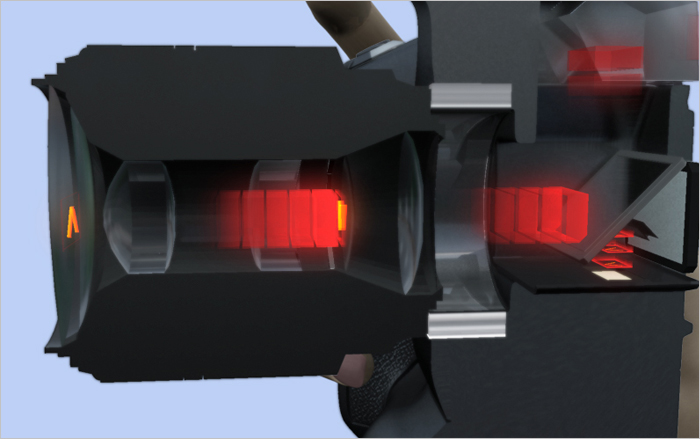 Nikon training screenshot